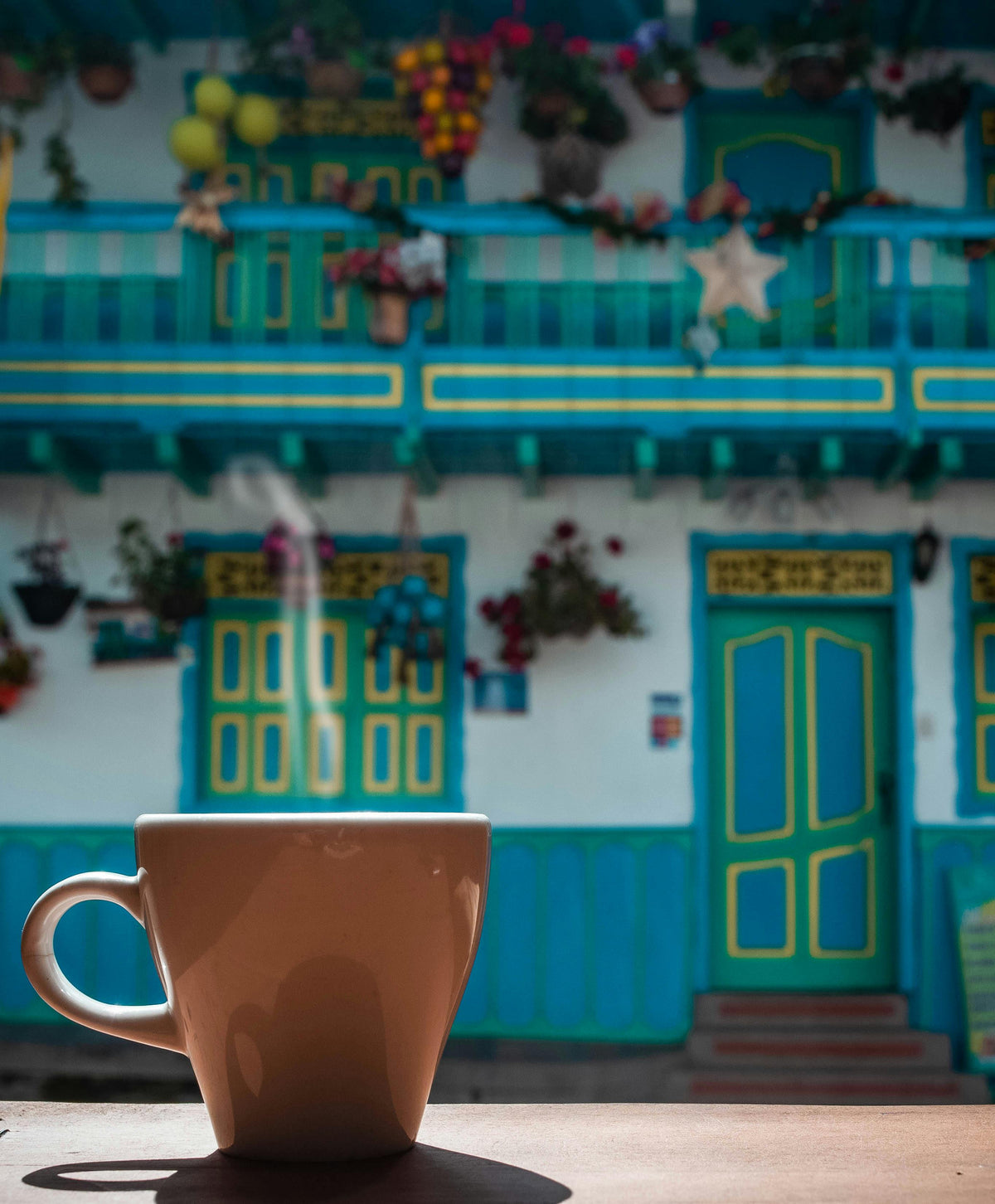 Norte de Santander Premium Colombian Specialty Coffee